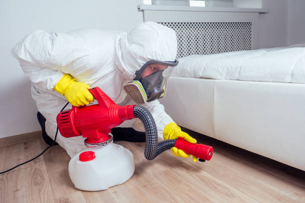 Trusted Patrick Springs, VA Pest Control Experts