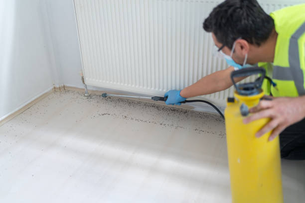 Best Best Pest Control Companies  in Patrick Springs, VA